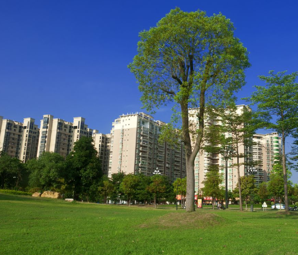 深圳坪山新區1期